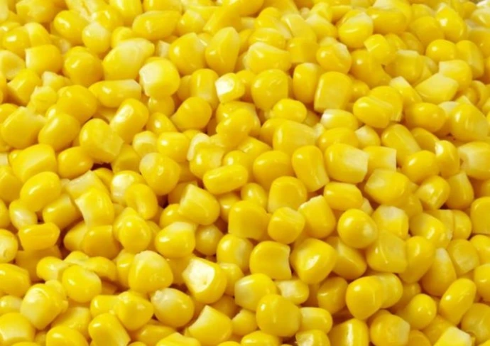 Sweet Corn IQF 4*2.5kgذرة حلوة مجمد