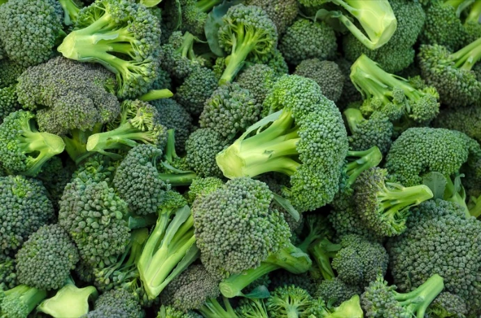 Brocoli IQF 4*2.5kg بروكلي مجمد